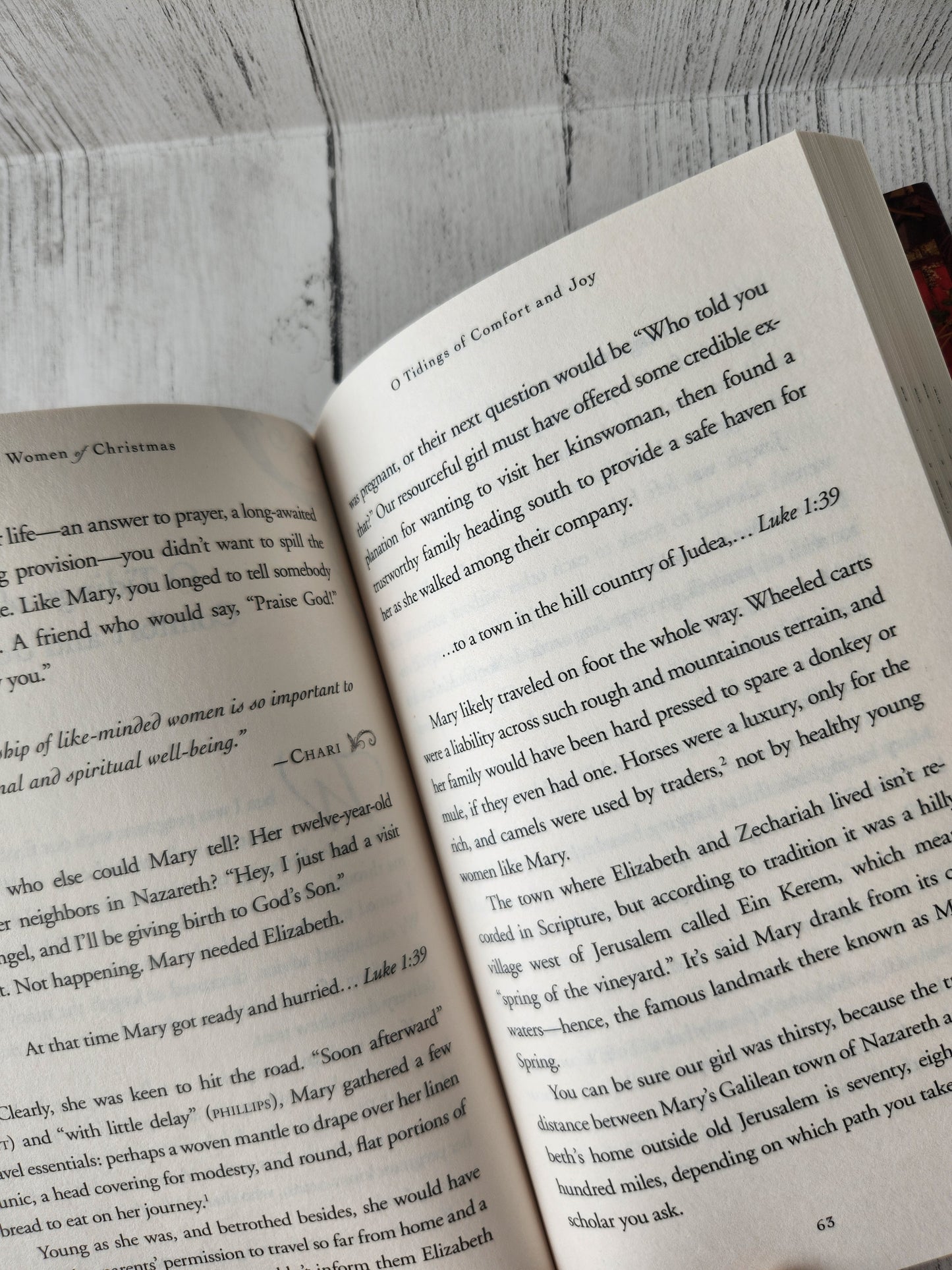 The Women of Christmas- book