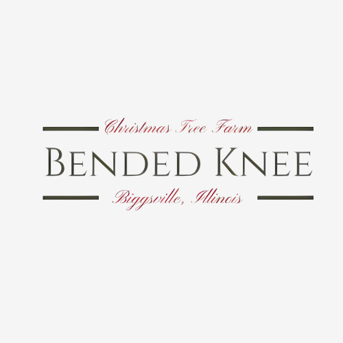 Bended Knee Christmas Tree Farm 